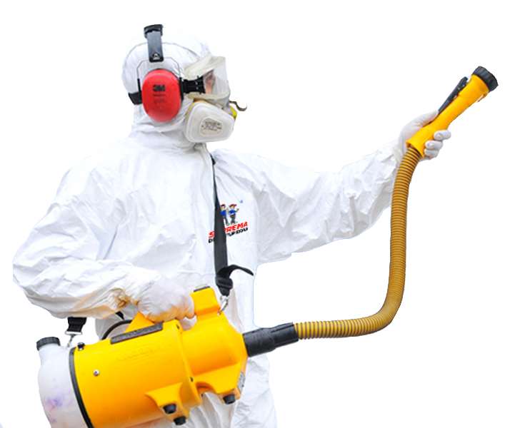 Dedetizadora Dedetizadora